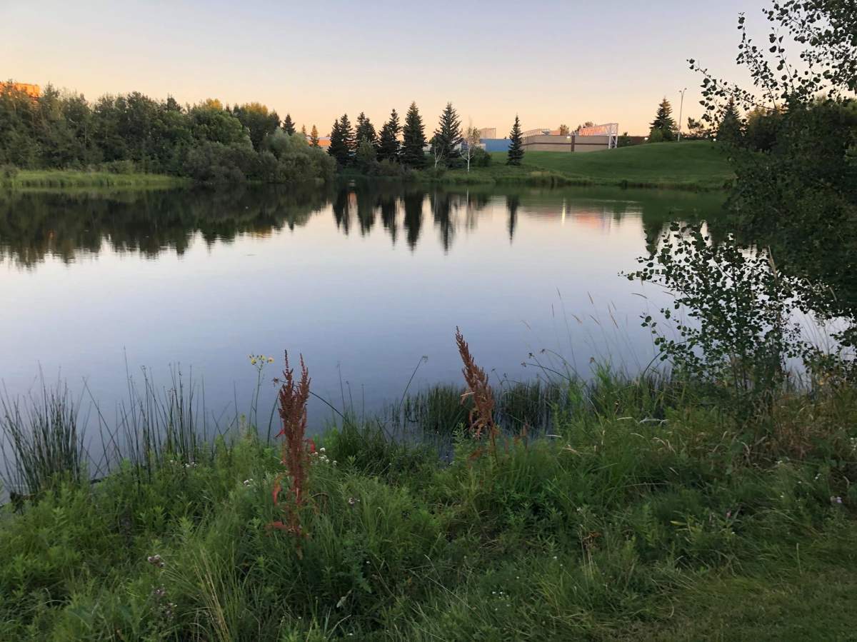 Terry Fikowski takes many photos during his walks.