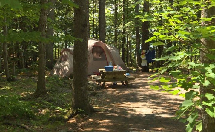 Alberta man creates website to scan for last-minute camping spots