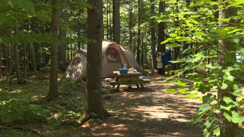 A campsite set up at Laurie Provincial Park in Nova Scotia. 
