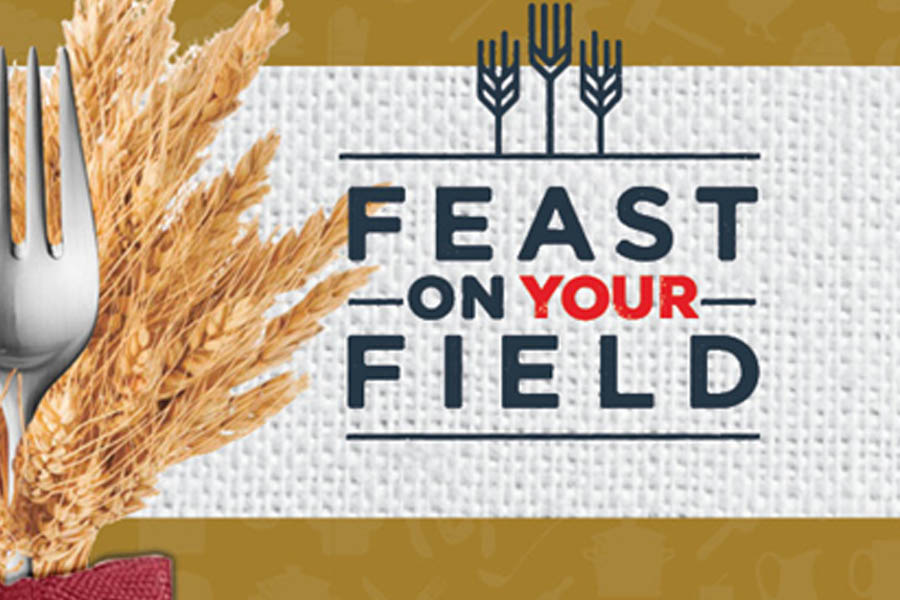Global Edmonton and 630 CHED support: Feast on Your Field - image