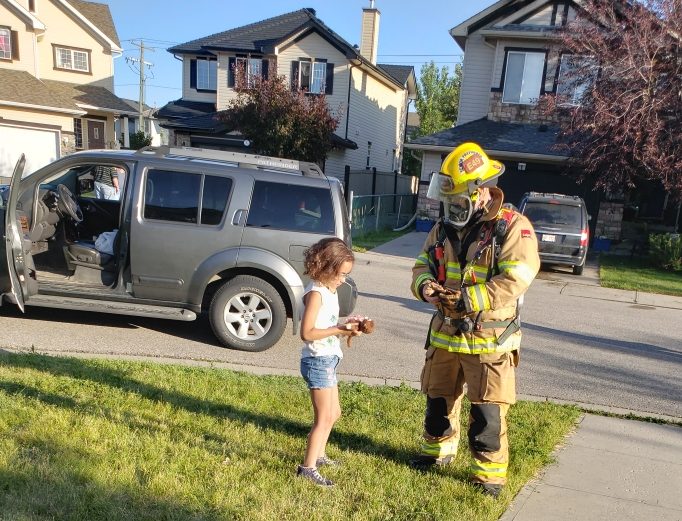 A firefighter got Olivia Alicea’s stuffie out of the house for her.