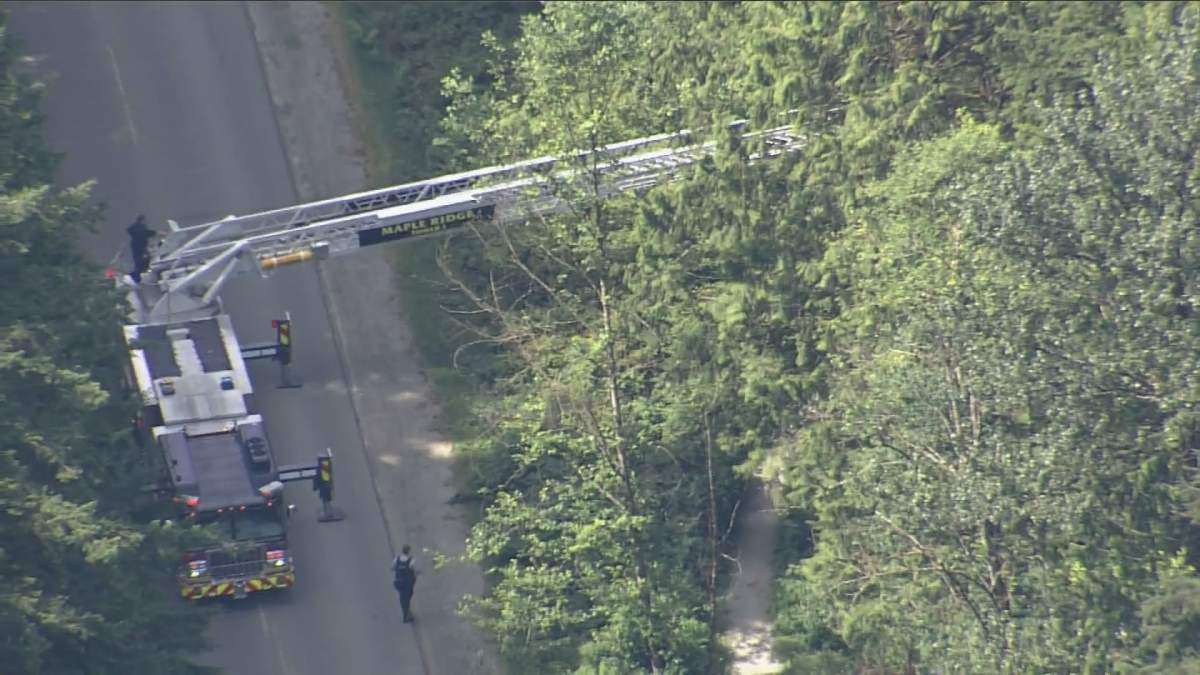 Firefighters extend a ladder truck into a treed area during an emergency situation at Golden Ears Park on Sunday. 