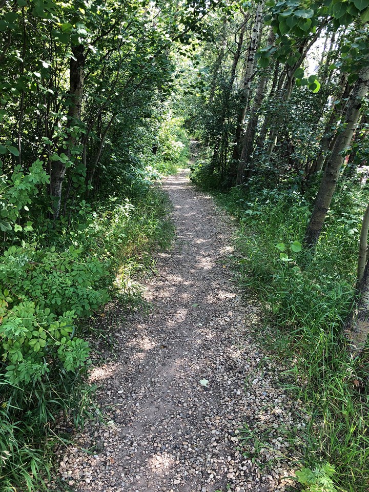 Terry Fikowski takes many photos during his walks.