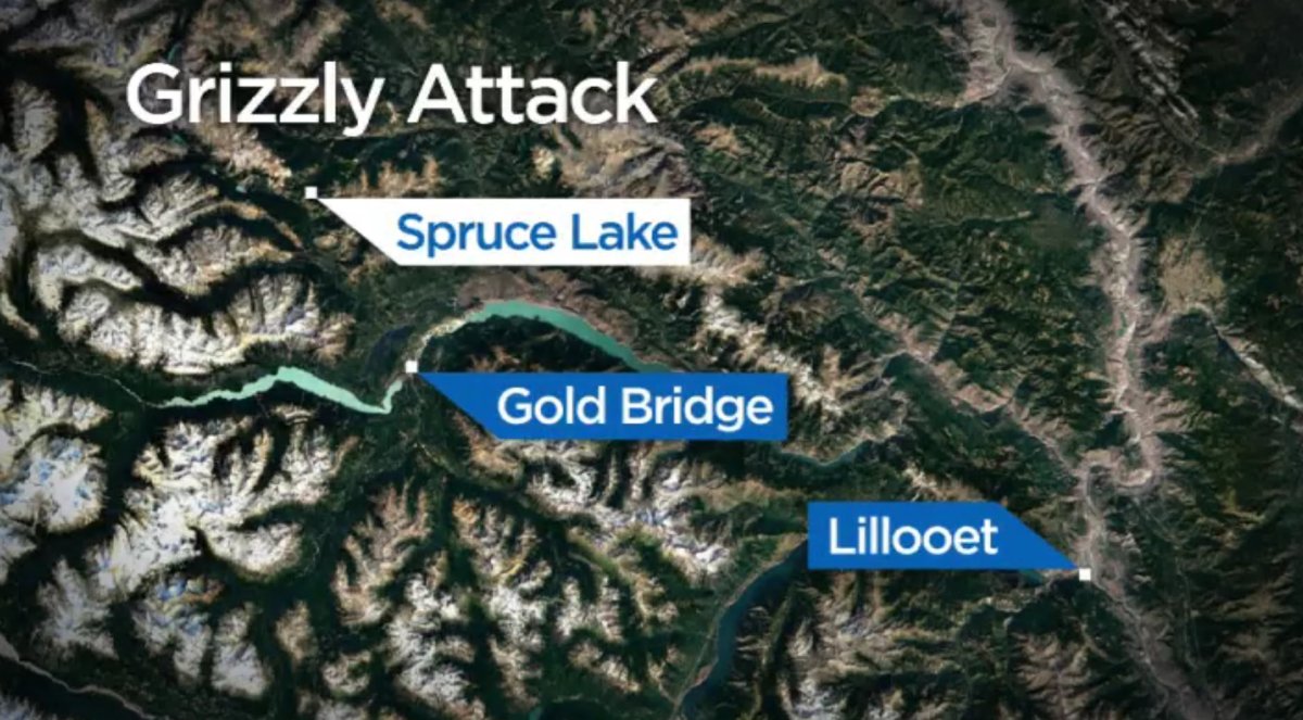 A man is recovering after he was bit by a grizzly bear while mountain biking near Spruce Lake, B.C. Sunday afternoon.