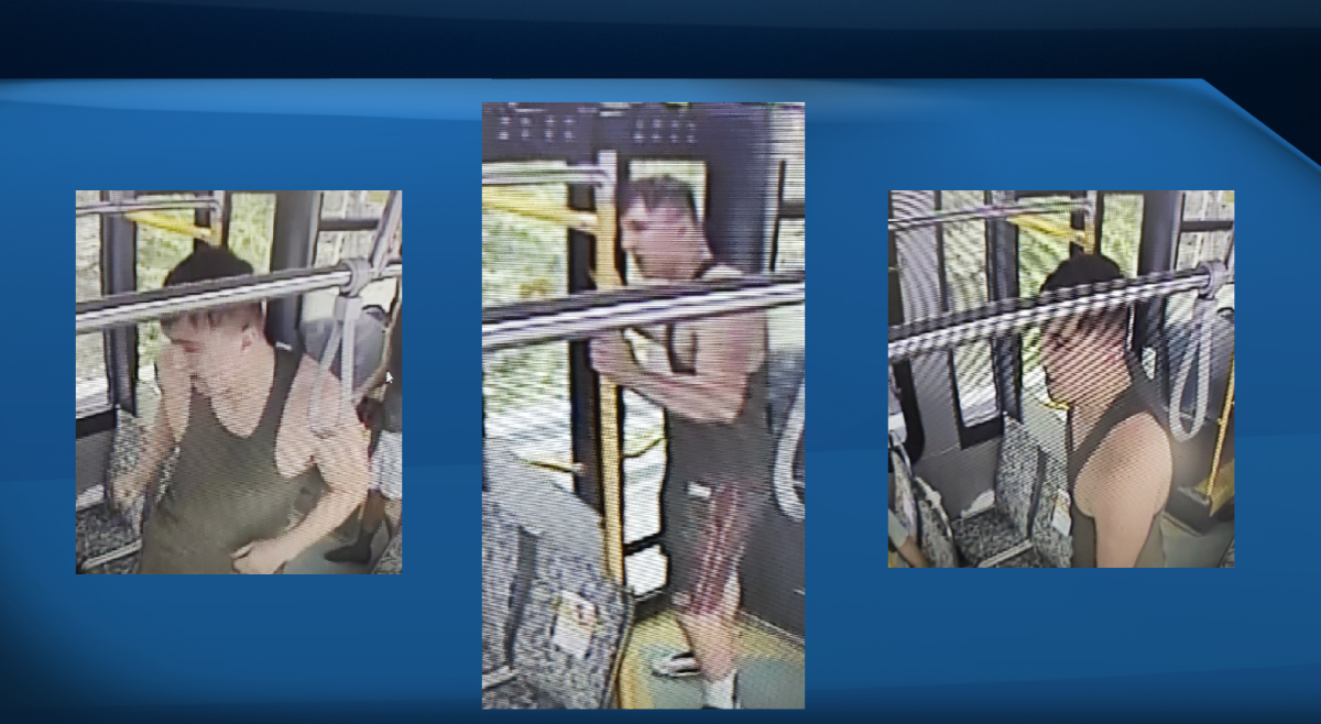 Police seek help identifying suspect after an assault on a Halifax Transit bus - image
