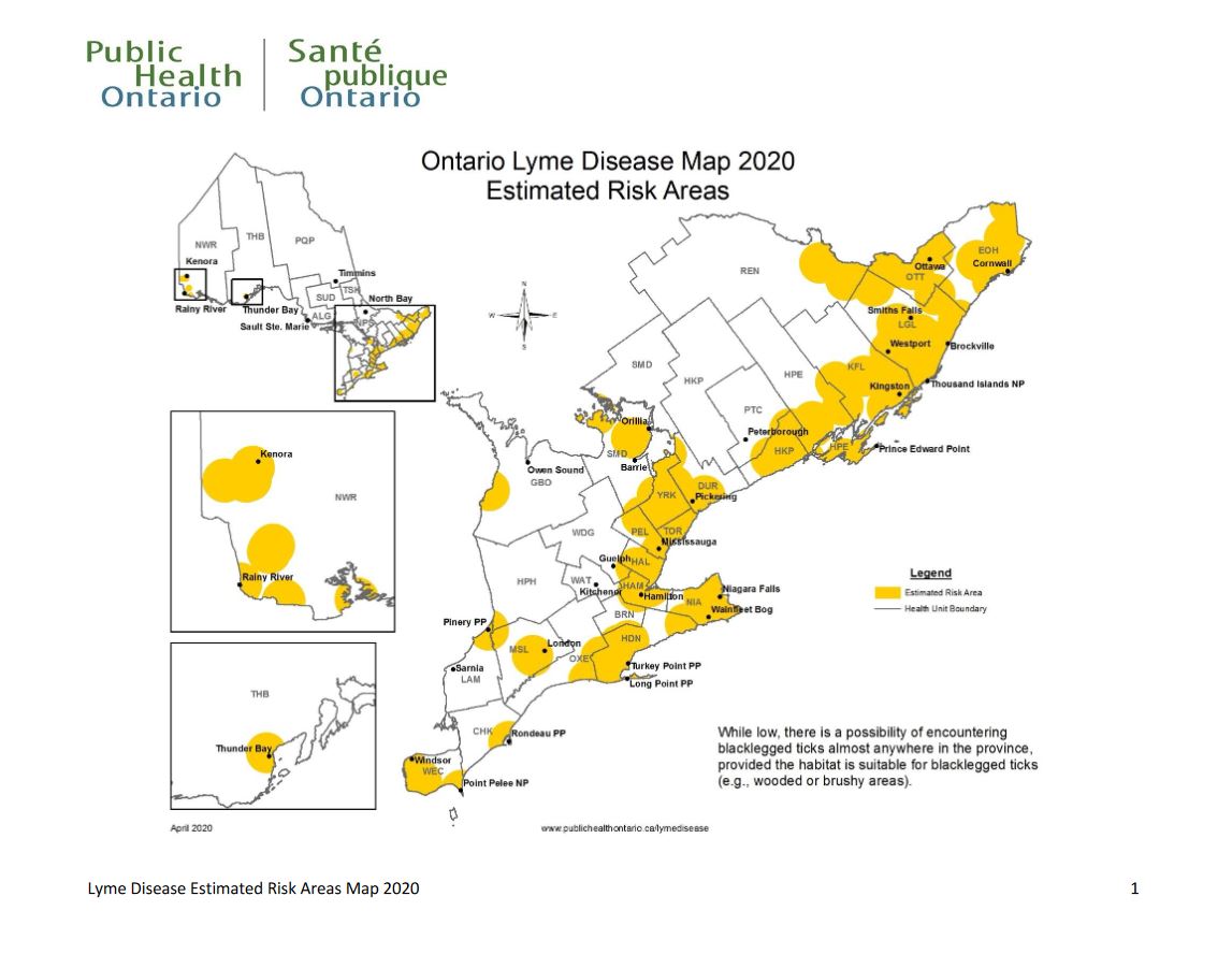 Much of London, Ont., and Middlesex County is included in 2020