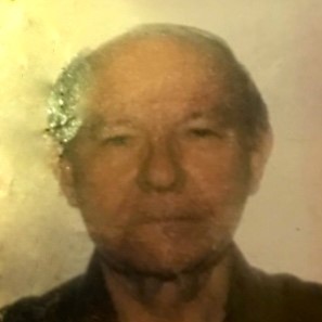 Vancouver police are asking for the public's help in locating a missing elderly man, 82-year-old Otto Rollheiser, who has dementia.