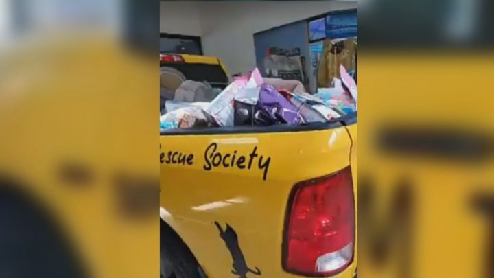 The Shuswap Paws Rescue Society is asking the public for food donations and other items.