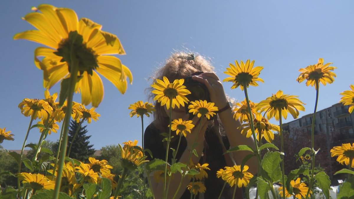 Calgary photographer warns others about costly overpayment scam