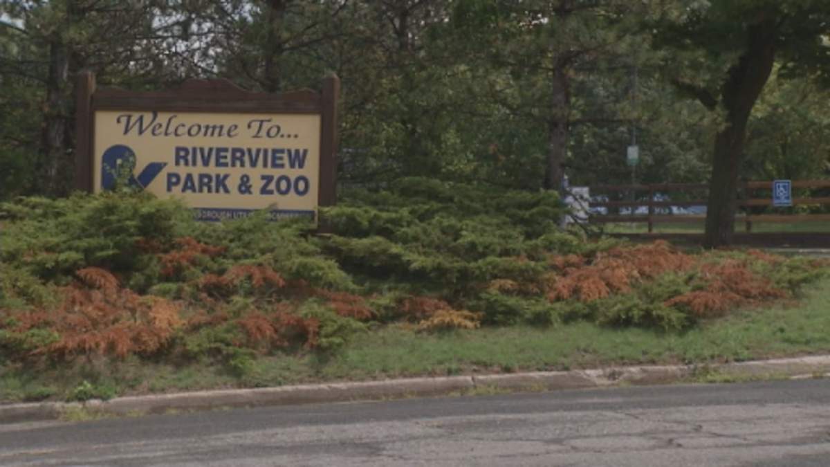 Peterborough's Riverview Park and Zoo will reopen for small guided tours on Aug. 15.