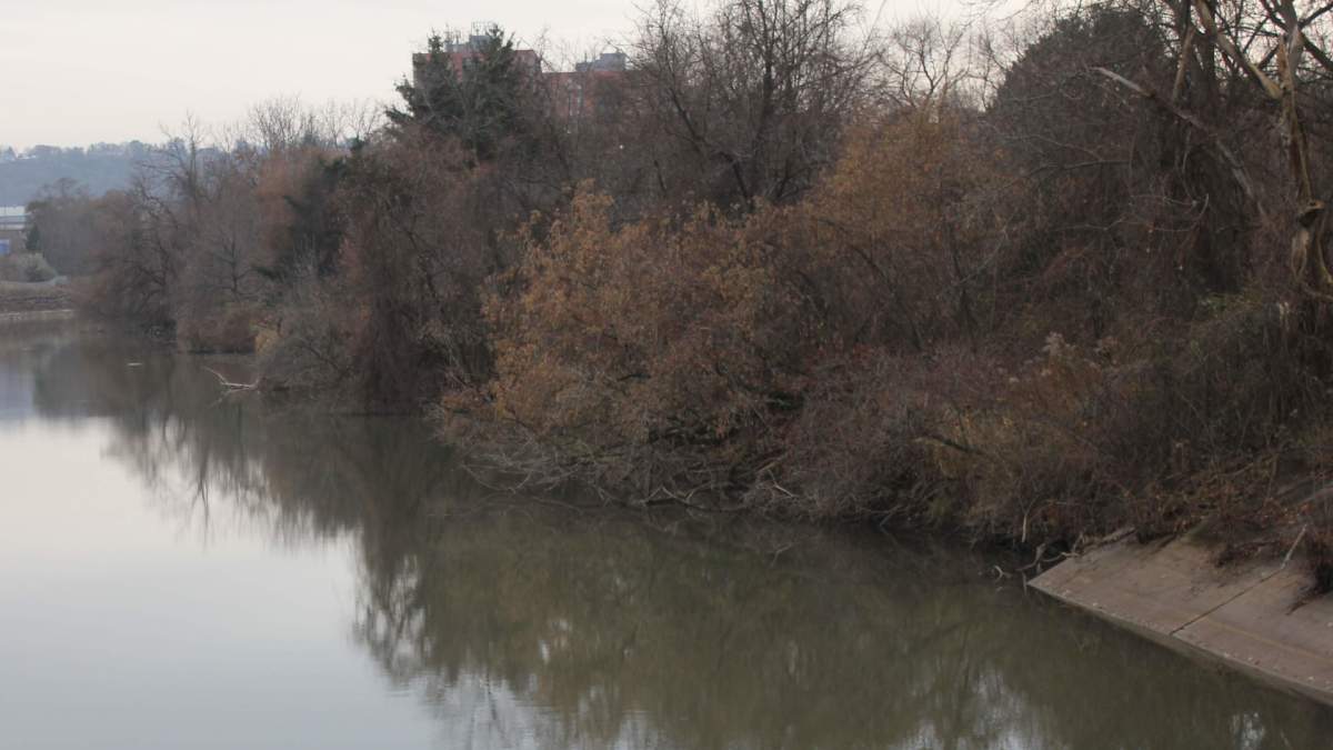 Heavy rainfall, snowmelt, and elevated lake levels contributed to an unusual number of bypass events in 2019 which dumped large amounts of wastewater into Hamilton Harbour, according to the city's director of water.