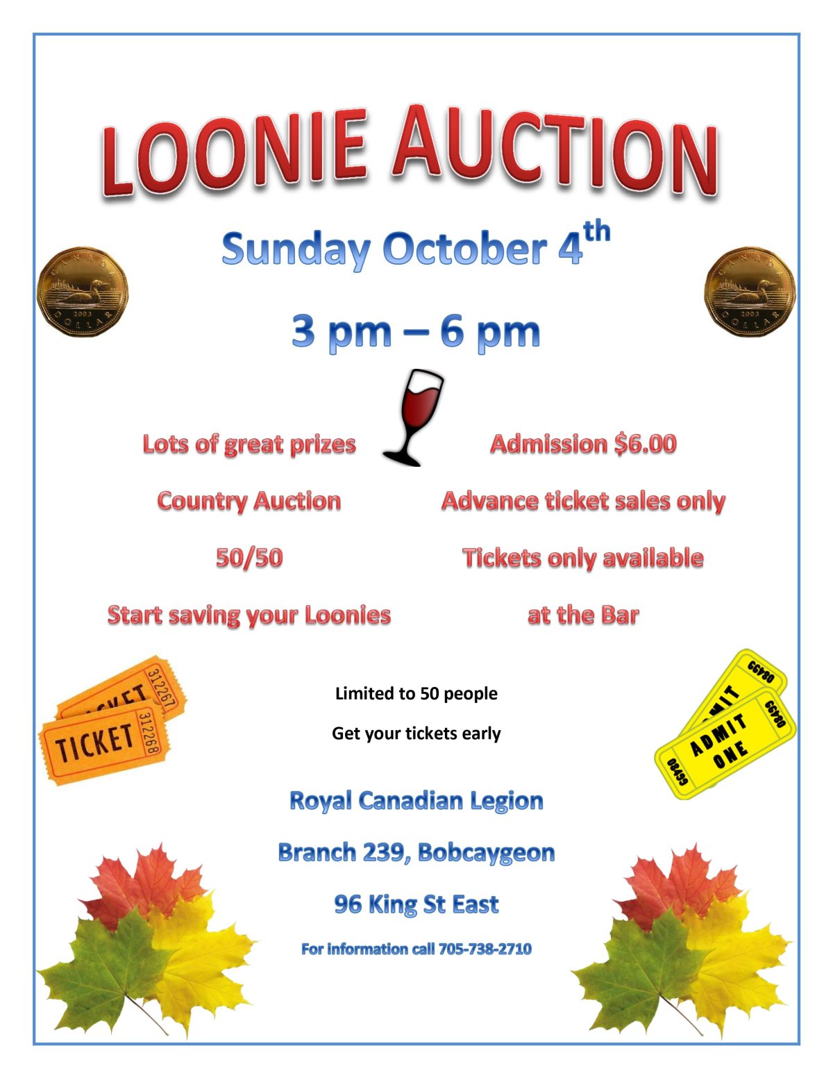 Loonie Auction - image