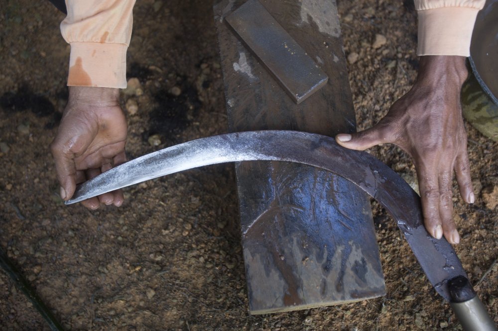 An Indonesian migrant worker sharpens the blade of his sickle used for cutting down palm oil fruit from tall trees in Sabah, Malaysia, on Monday, Dec. 10, 2018. Many Indonesians working in Malaysia do not have proper documents, leaving them vulnerable to exploitation, arrest or deportation.