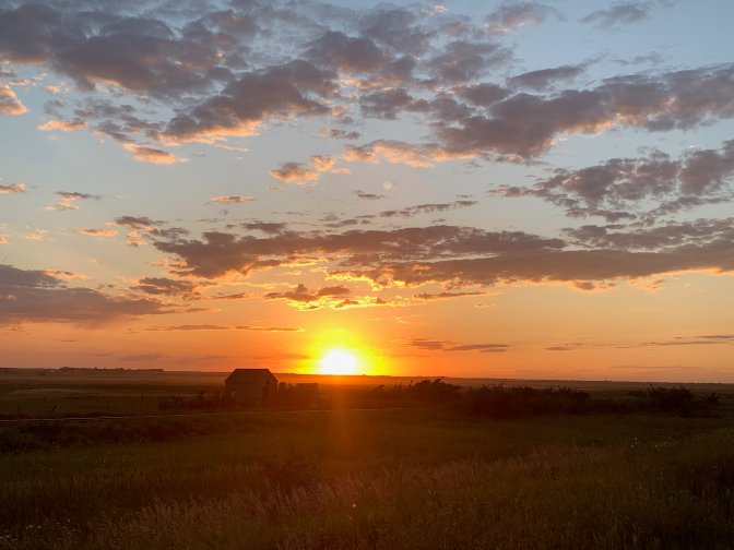 Your Saskatchewan September 1, 2020 Susan Sagen