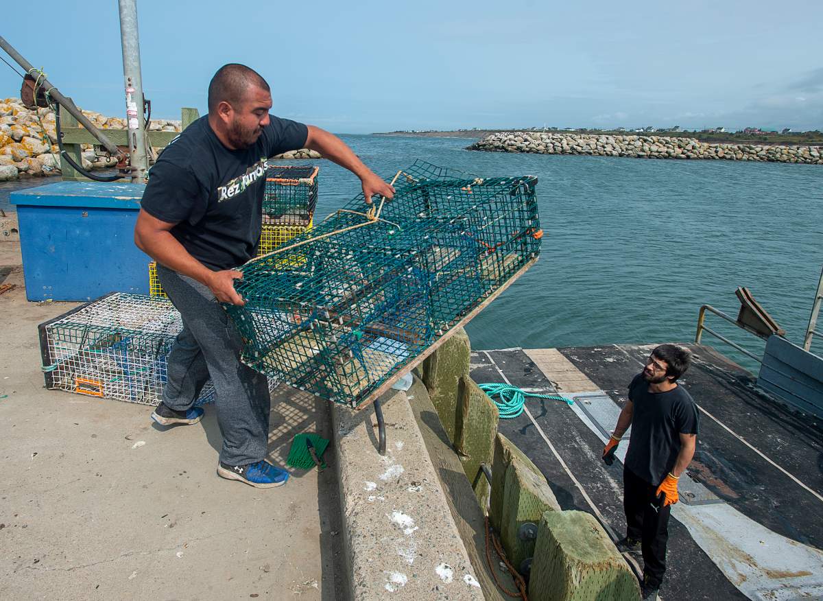 Members of the Sipekne'katik First Nation load lobster traps on the wharf in Saulnierville, N.S., after launching its own self-regulated fishery on Thursday, Sept. 17, 2020. The First Nation says a 1999 Supreme Court of Canada ruling, known as the Marshall decision, granted the Mi'kmaq the right to catch and sell lobster outside of the regular fishing season. THE CANADIAN PRESS/Andrew Vaughan.