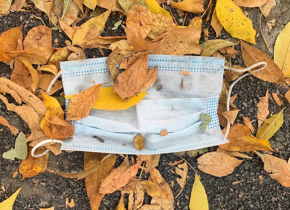A discarded face mask is shown amongst fallen leaves in Montreal, Monday, Sept. 22, 2020.