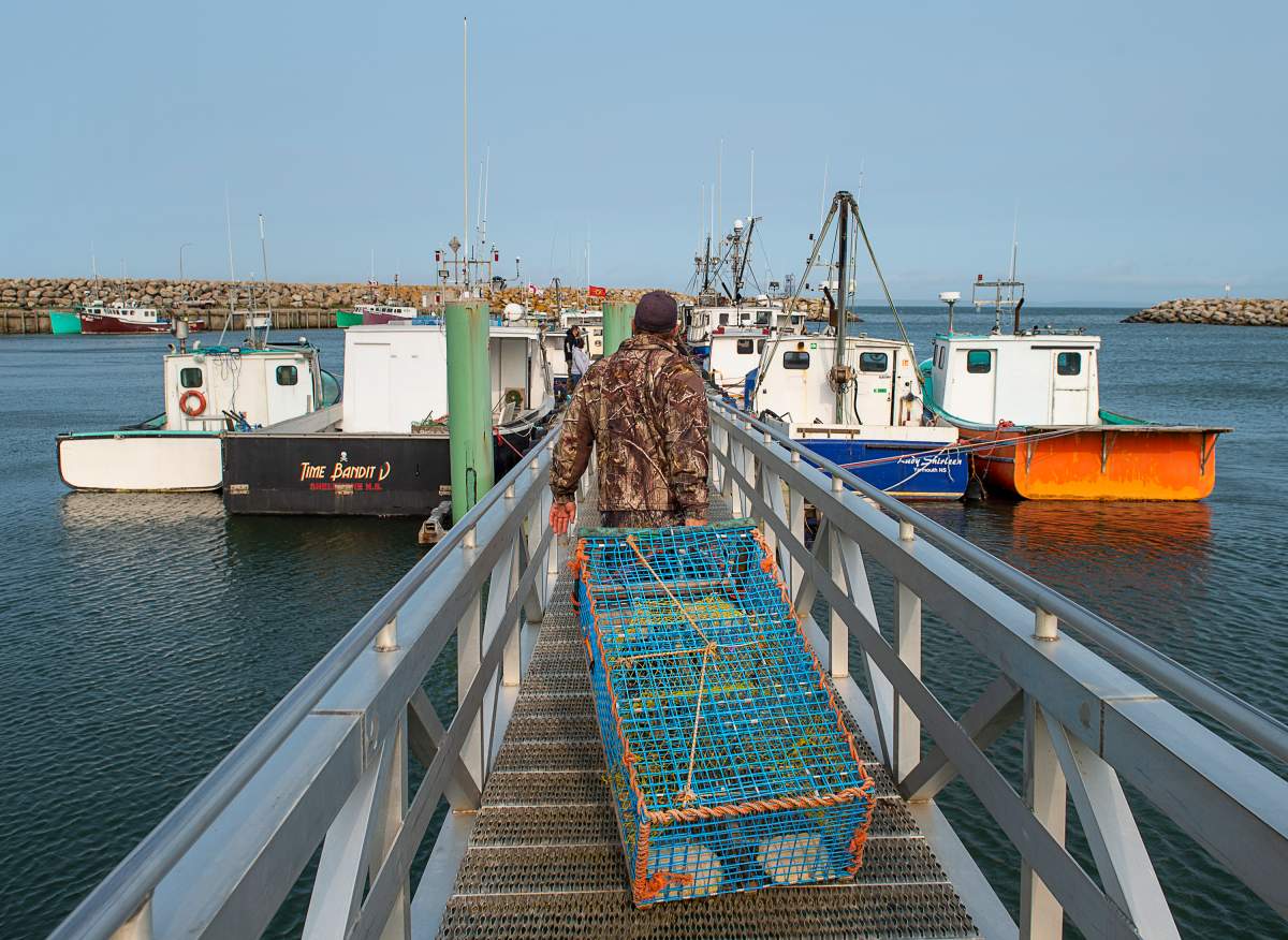 Members of the Sipekne'katik First Nation load lobster traps on the wharf in Saulnierville, N.S., after launching its own self-regulated fishery on Thursday, Sept. 17, 2020.