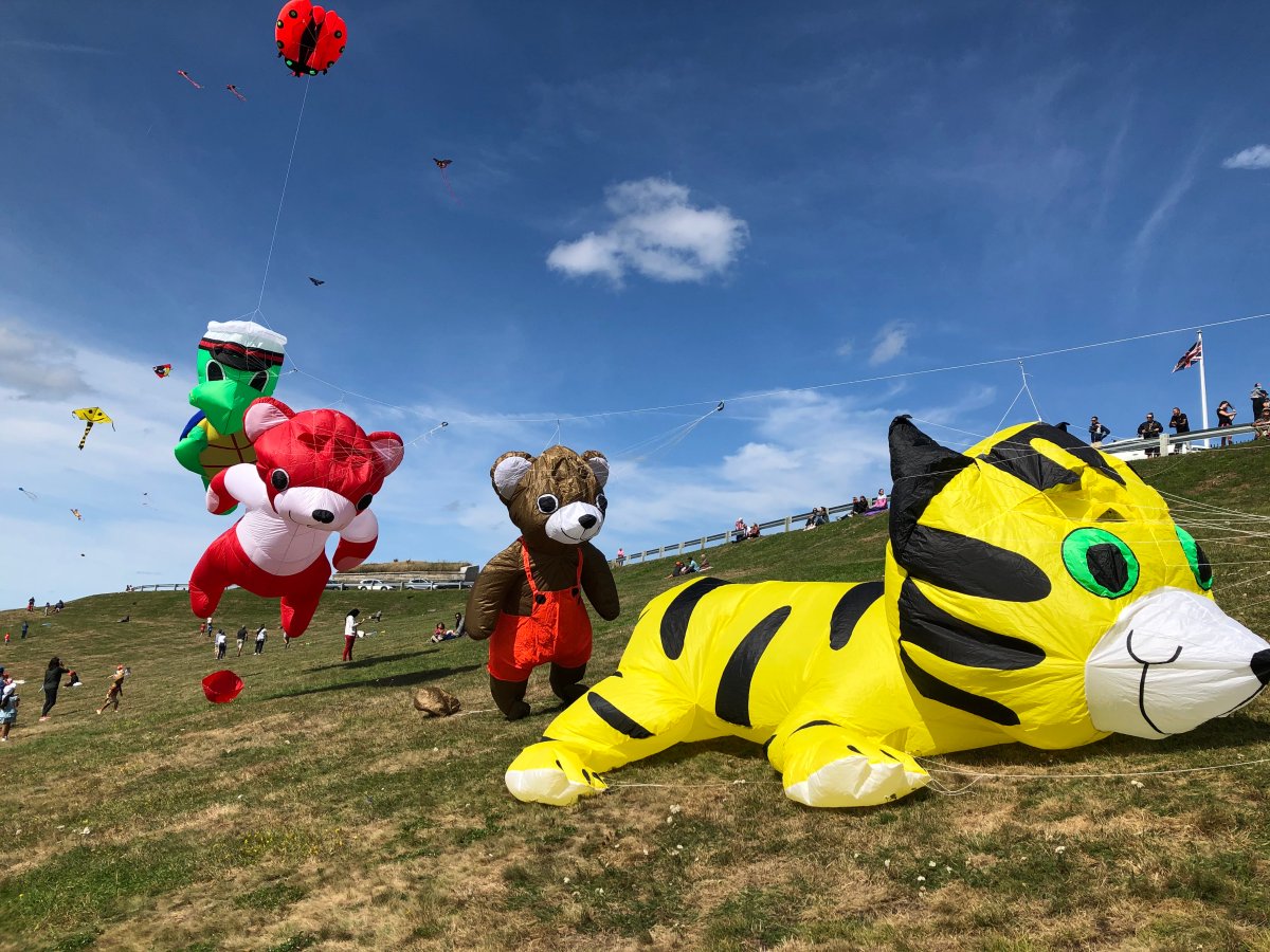 Hundreds attend East Coast Kite Festival, bringing joy during COVID-19 pandemic - Halifax