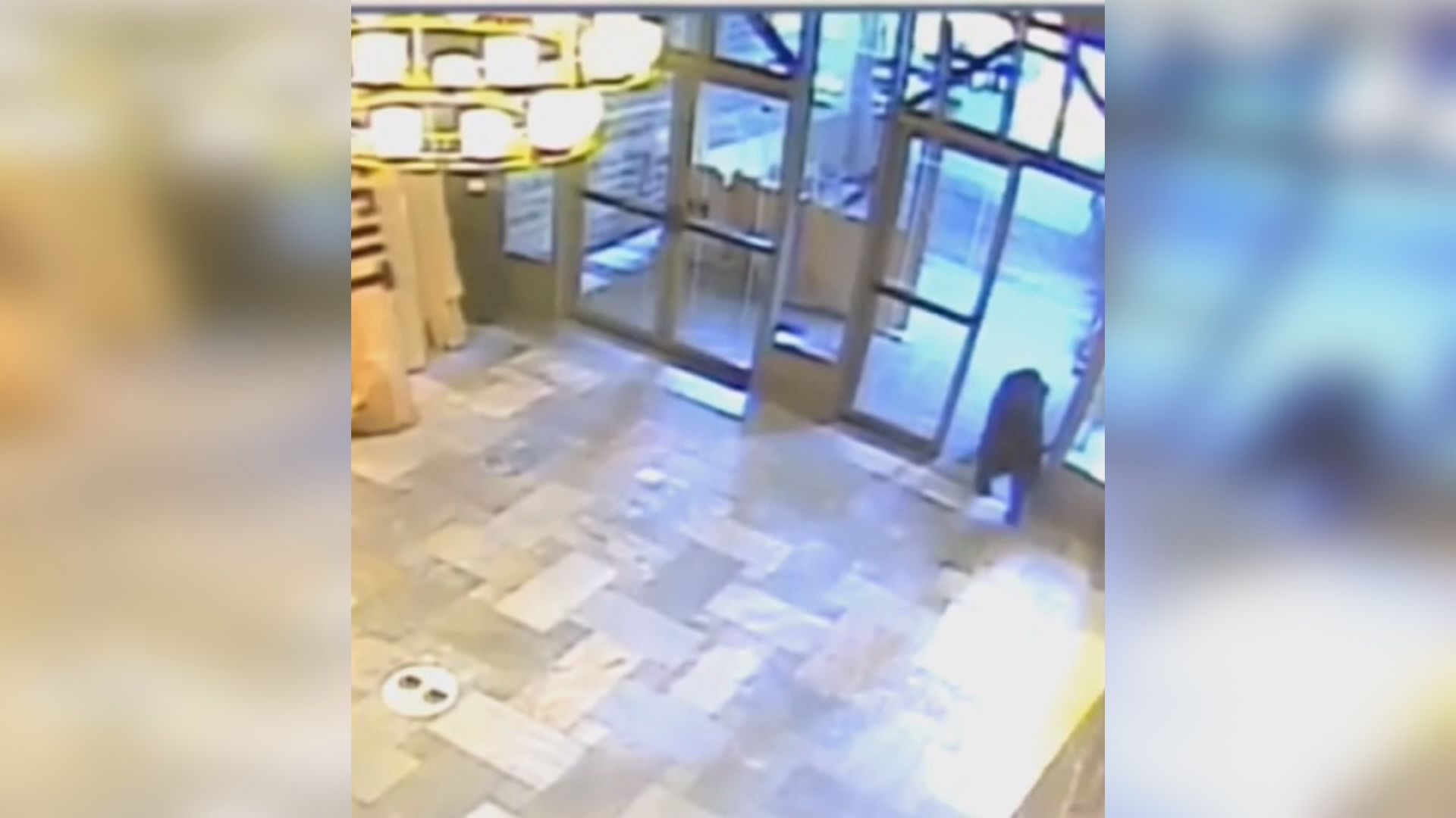 Surveillance Video Captures Bear Walking Through Whistler B C Hotel Lobby Globalnews Ca