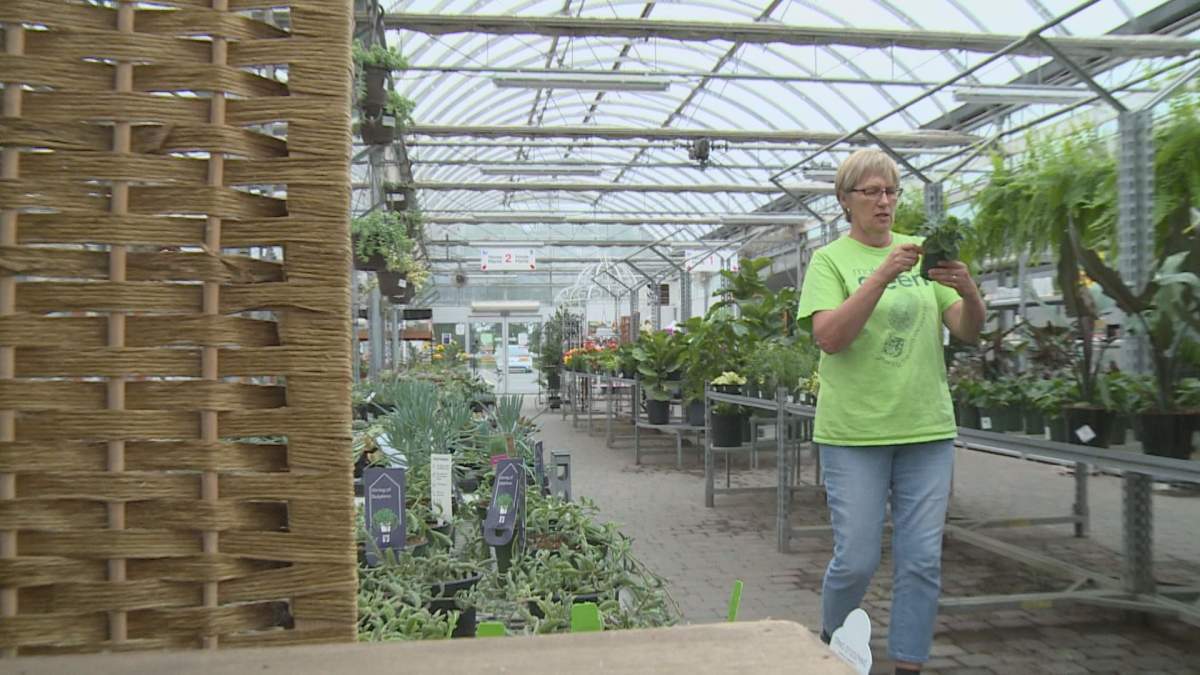 Garden centre owners are very pleased with the success of the summer planting season.