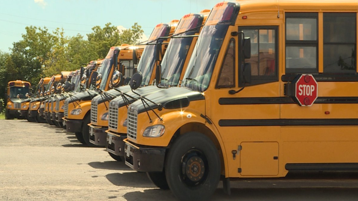 Cancellations, delays plague Hamilton school bus routes - image