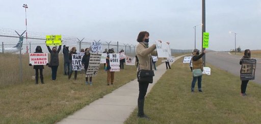 Demonstrators protested the live horse trade at the Calgary International Airport on Tuesday, Sept. 15, 2020.