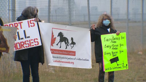 Demonstrators protested the live horse trade at the Calgary International Airport on Tuesday, Sept. 15, 2020.