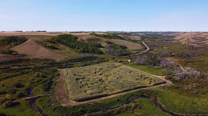Lumsden's Happy Hallow is closing early for the season, saying stricter rules due to COVID-19 is making it financially difficult to stay open. 