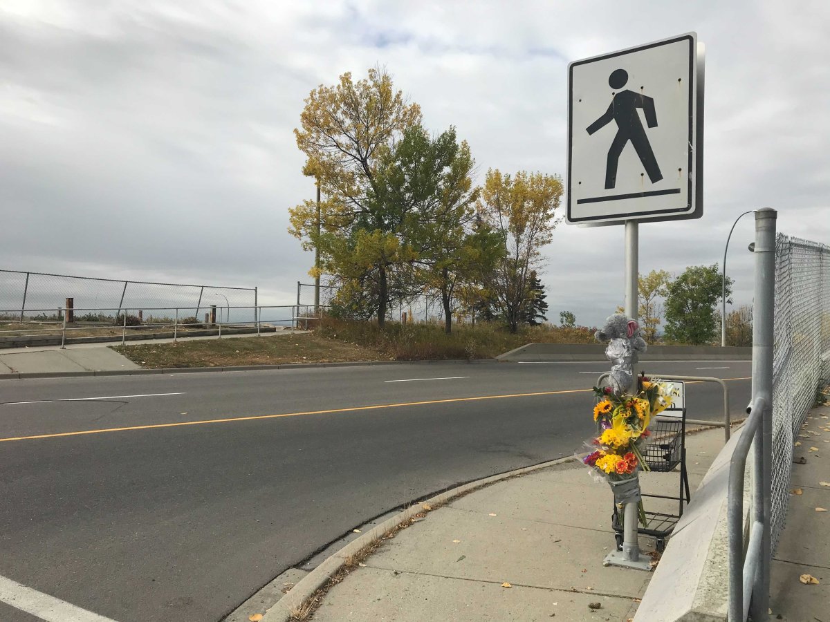 Witnesses call for street lights at site of fatal Calgary motorcycle