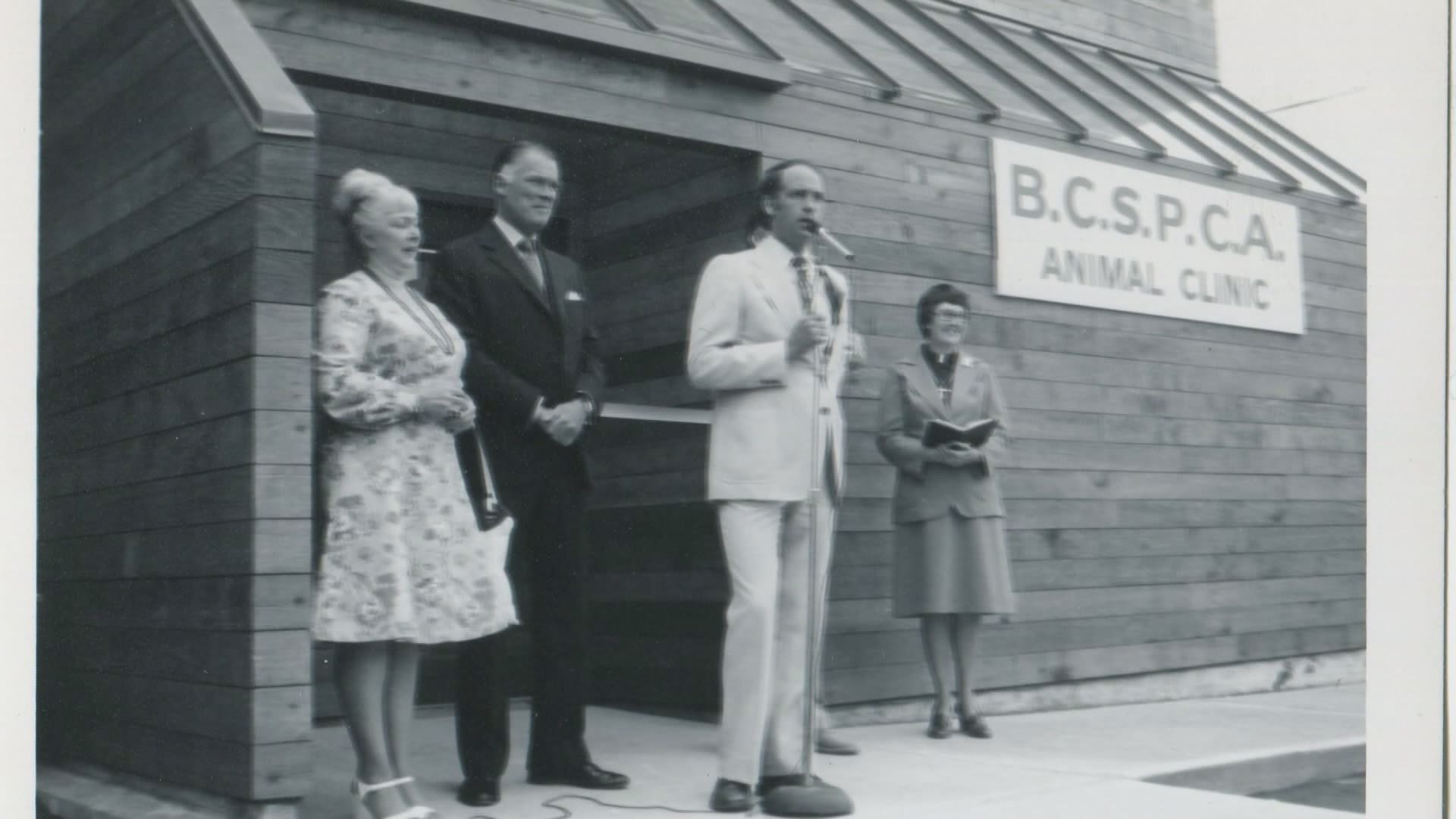 BC SPCA Marks 125 Years Since Its First Goal To Protect Working Horses ...