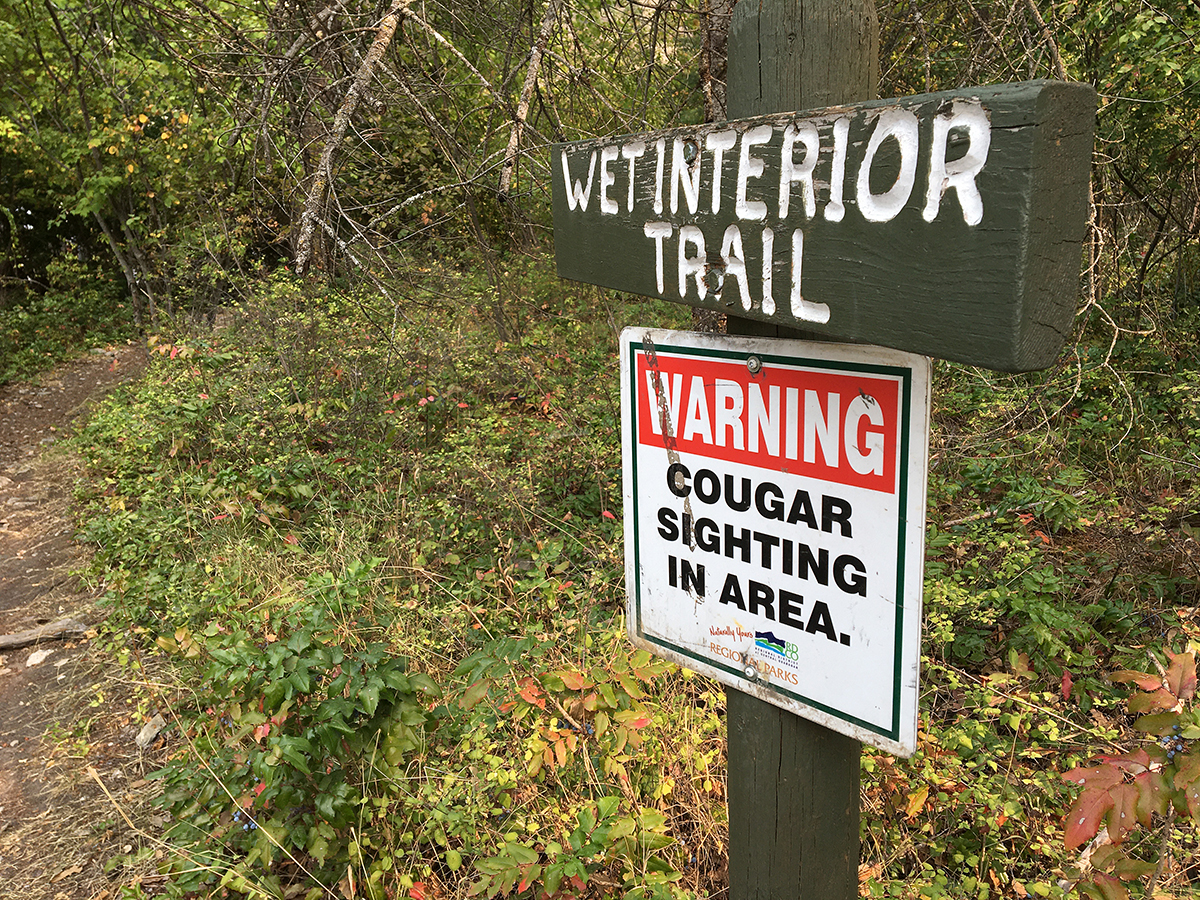 The Regional District of the Central Okanagan has placed signs warning of cougar activity at Woodhaven Nature Conservancy Regional Park in south Kelowna.