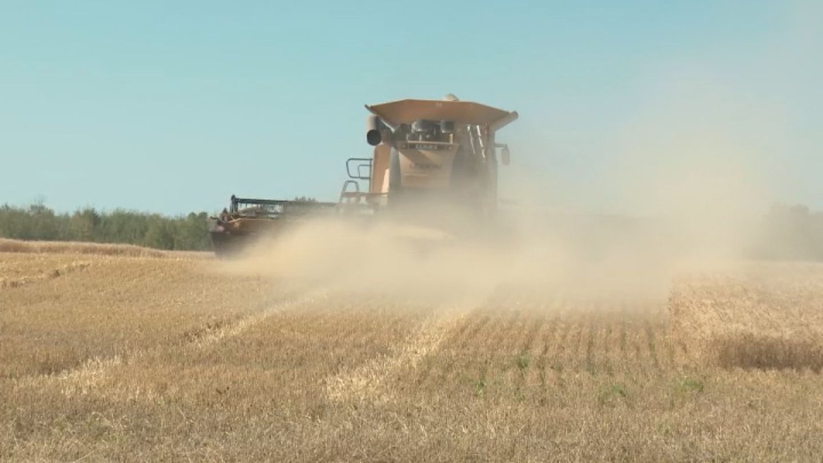 Saskatchewan Agriculture said much of the province received small amounts of rain in the past week, but it did little to offset the effects of the drought.