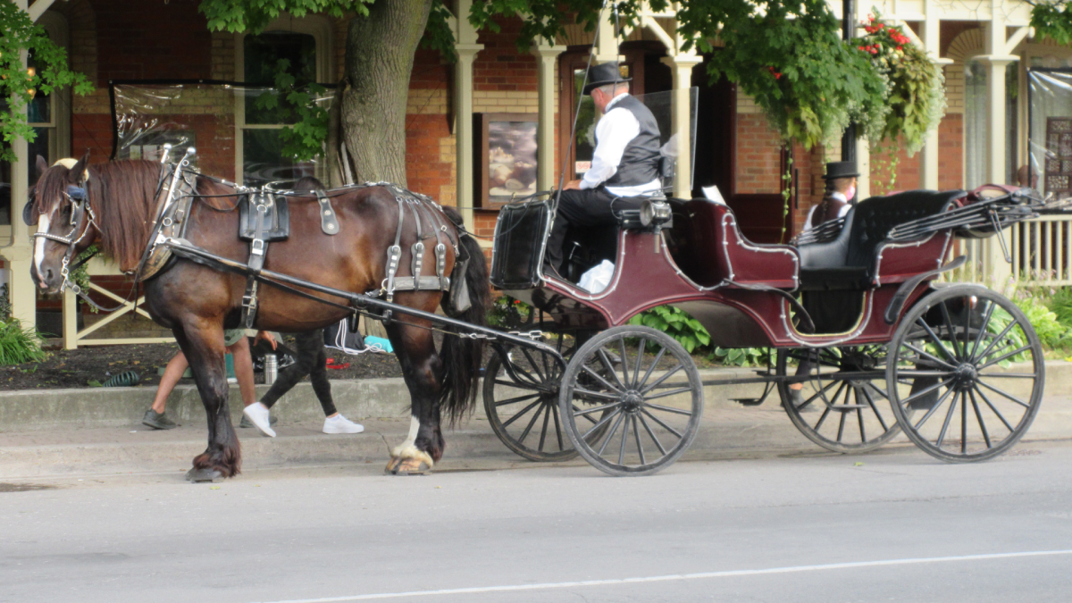 The lord mayor of Niagara-on-the-Lake has asked horse carriage operators to move to a new spot for passenger pickups on the weekends. 