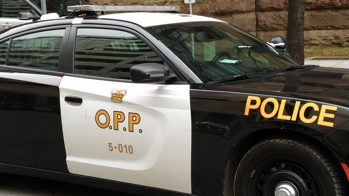 OPP's explosive disposal unit were called to a property in Minden Hills Township on Monday.