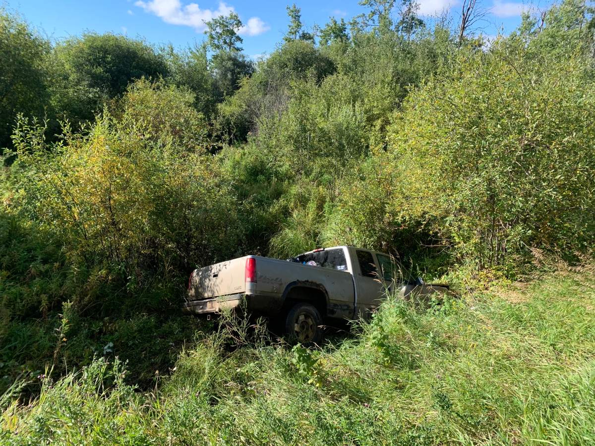 Peace River RCMP believe a pedestrian who was hit and killed along with his dog on a northern Alberta road had earlier crashed a pickup truck into a creek. 

