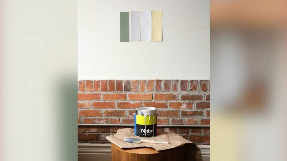 Lion’s Lair 2020: online paint store wins Hamilton innovation contest - image