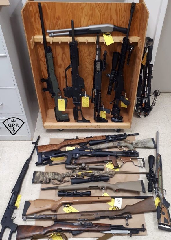 More than a dozen firearms and 4,000 cannabis plants were seized in an investigation east of Bancroft.