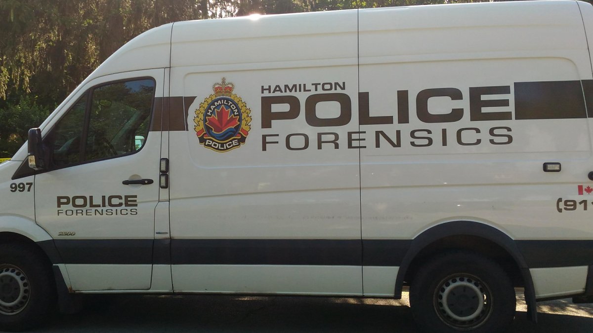 Police arrest second suspect in December homicide on Hamilton Mountain - image