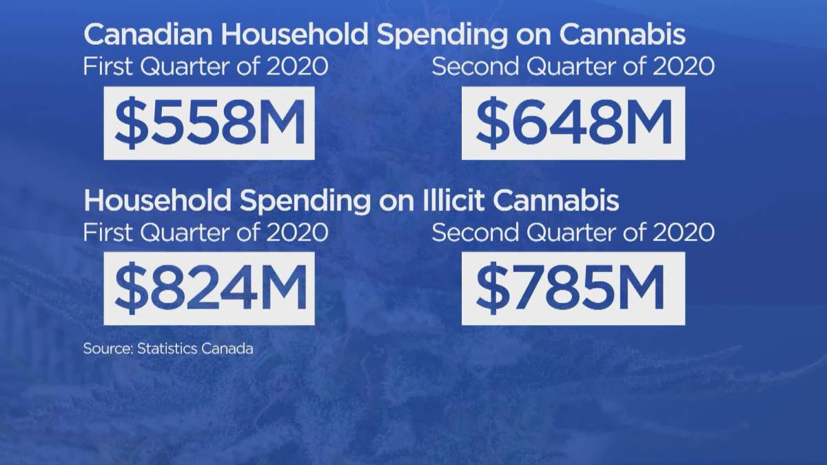 Retail cannabis sales in Edmonton see growth despite ongoing illicit sales - image