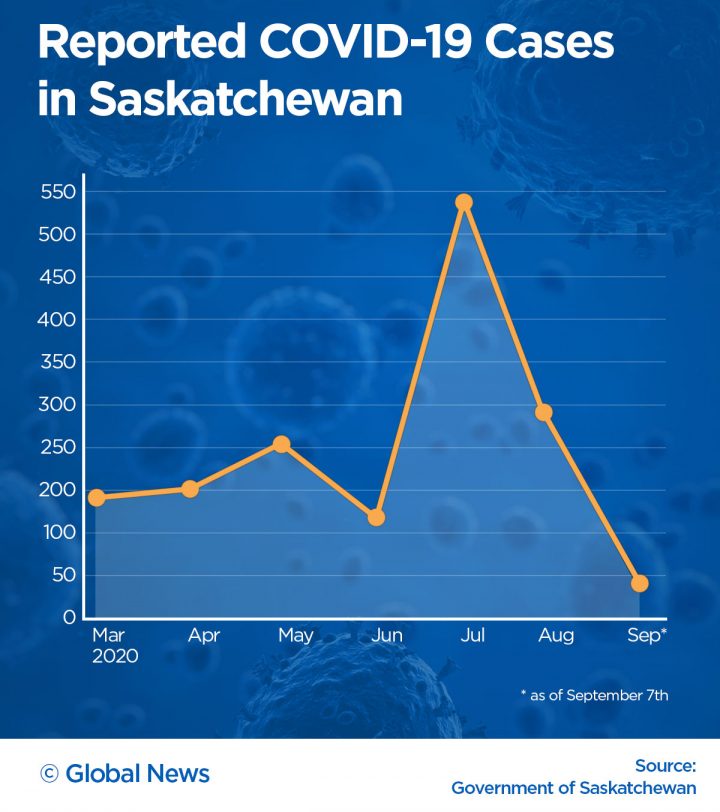 6 months since Saskatchewan reports first novel coronavirus case - image
