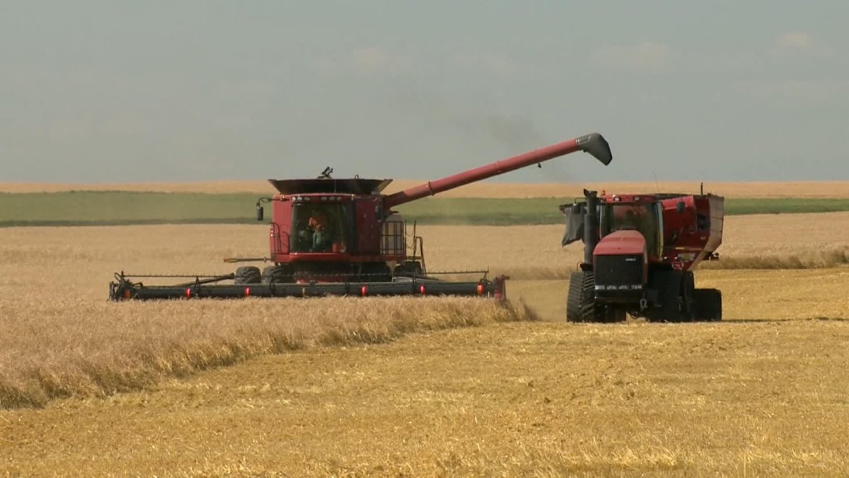 With weather conditions the past week, Saskatchewan producers have made great progress with harvesting which is 40 per cent of the five-year average.