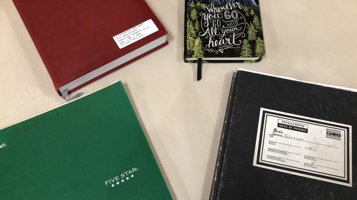 Blake Schreiner journals have conflicting accounts of drug use and Tammy Brown death