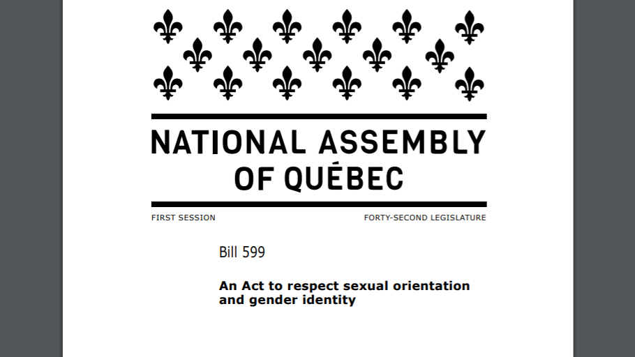 Bill 599 seeks to penalize conversion therapy in Quebec.