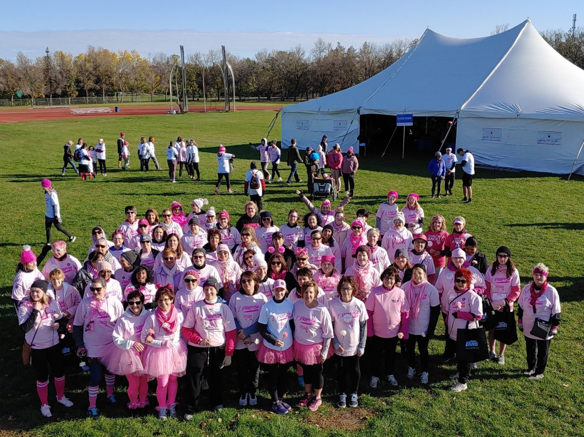 Canadian Cancer Society CIBC Run for the Cure - image