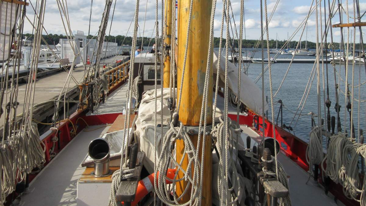 Sailing vessel TS Playfair makes Hamilton its new home - image