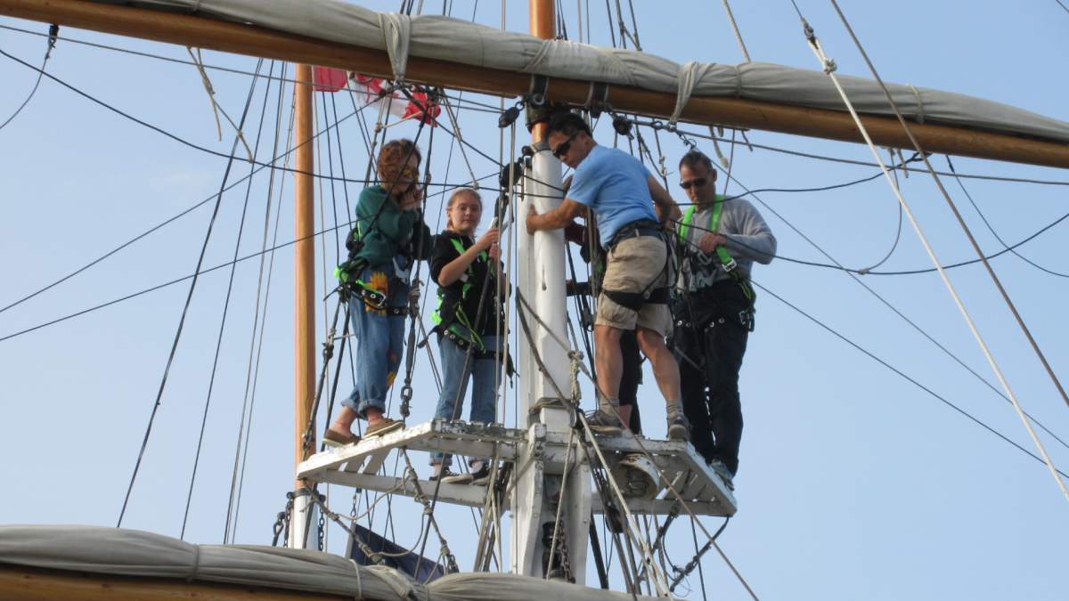 Sailing vessel TS Playfair makes Hamilton its new home - image