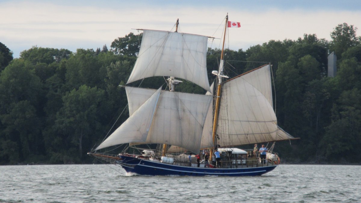 Sailing vessel TS Playfair makes Hamilton its new home - Hamilton |  Globalnews.ca