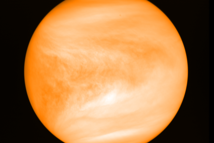 Venus | News, Videos &amp; Articles