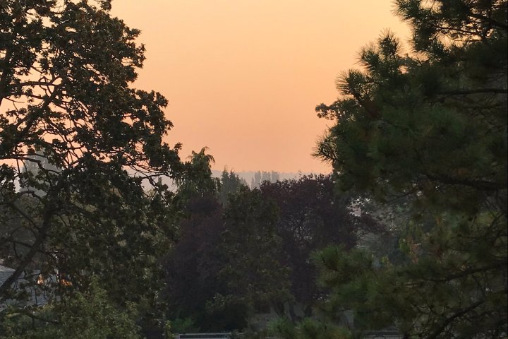 Smoke from Washington State wildfire blankets parts of Vancouver Island, B.C. Interior
