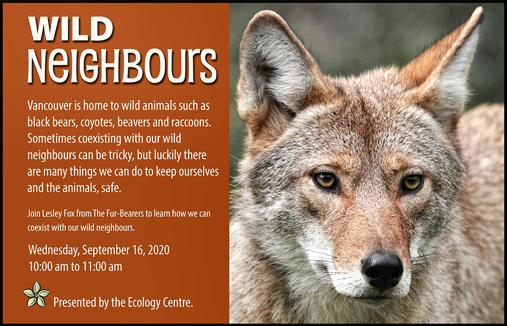 Wild Neighbours - image